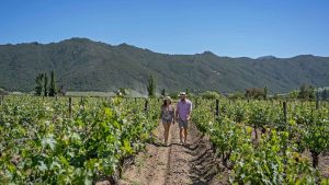 Santiago accueillera The World’s 50 Best Vineyards 2026 !