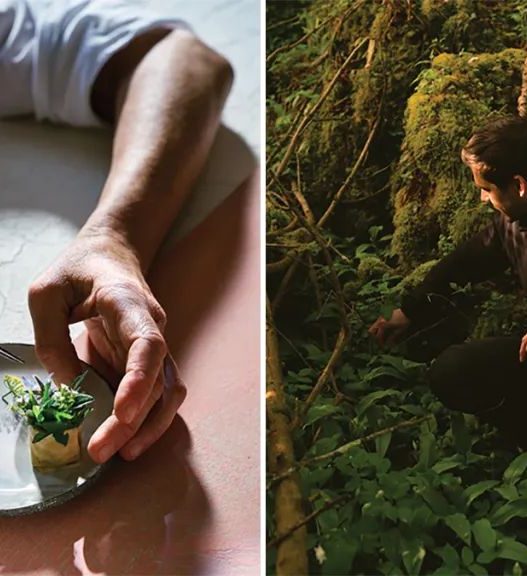 How Slovenia Turned Into a Hot Spot for Michelin-Star Cuisine