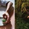 How Slovenia Turned Into a Hot Spot for Michelin-Star Cuisine