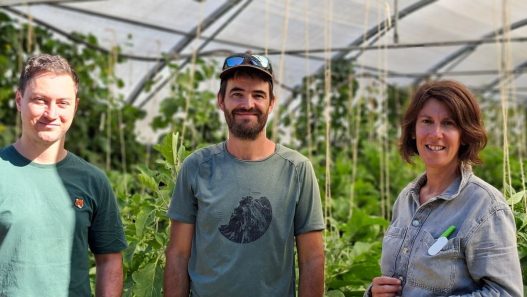 Le chef étoilé Maxime Szczepaniak célèbre les producteurs locaux