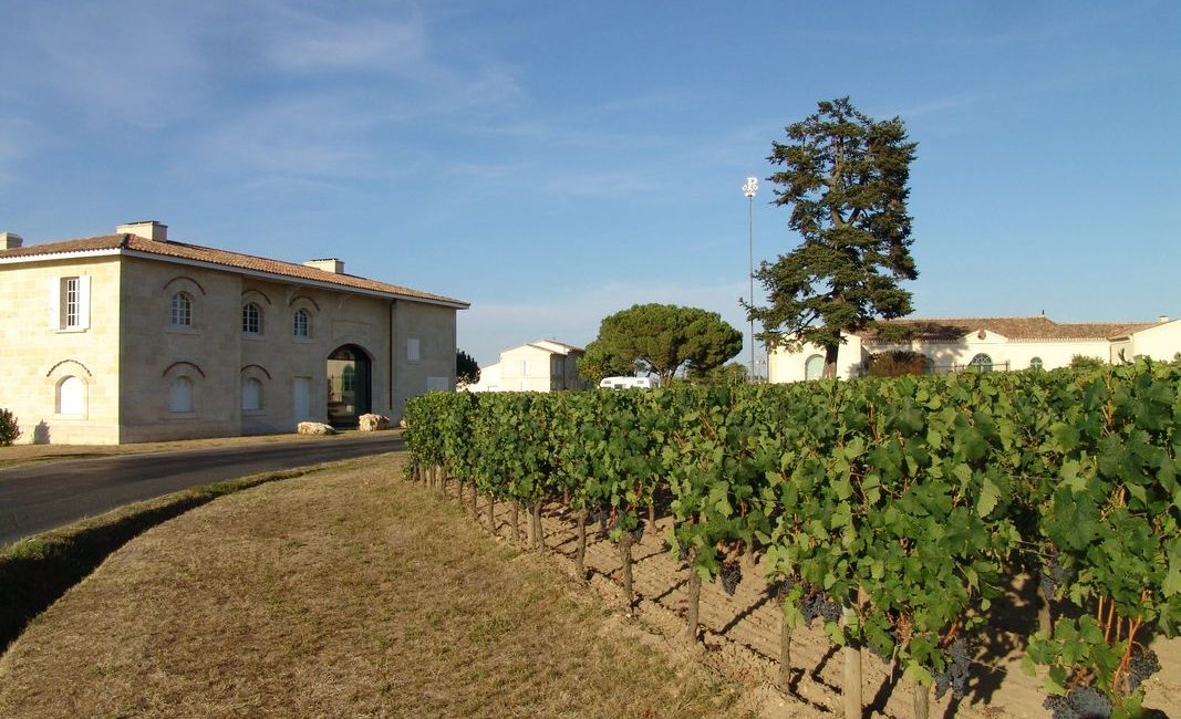 Le Guide Michelin met en lumière dix vigneronnes et vignerons qui façonnent les vins de Bordeaux