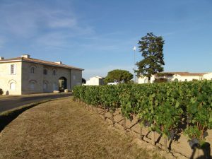 Le Guide Michelin met en lumière dix vigneronnes et vignerons qui façonnent les vins de Bordeaux