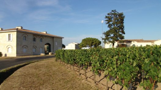 Le Guide Michelin met en lumière dix vigneronnes et vignerons qui façonnent les vins de Bordeaux
