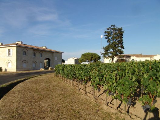 Le Guide Michelin met en lumière dix vigneronnes et vignerons qui façonnent les vins de Bordeaux