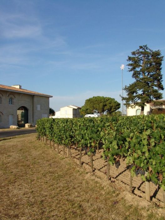Le Guide Michelin met en lumière dix vigneronnes et vignerons qui façonnent les vins de Bordeaux