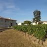 Le Guide Michelin met en lumière dix vigneronnes et vignerons qui façonnent les vins de Bordeaux