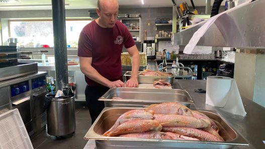 Transition alimentaire : Stefan Jacobs, le chef étoilé en vert veut faire "manger mieux demain"